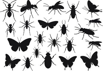 Black silhouettes depict a variety of insects including ants butterflies spiders and beetles against a white background