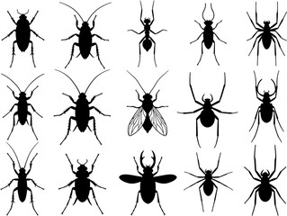 Black silhouettes of 15 bugs  spiders arranged in a 3x5 grid against a white background