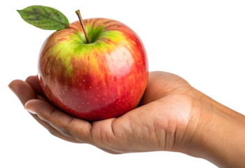 Tropical fruit apple in hand isolated on white background.