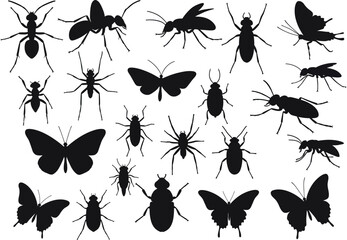 Silhouette collage of various insects like ants butterflies spiders wasps and beetles