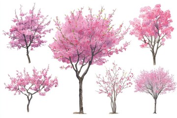 Obraz premium Pink blossom trees in artistic illustration. stylized spring floral concept with varying shapes and branch structures isolated on white background