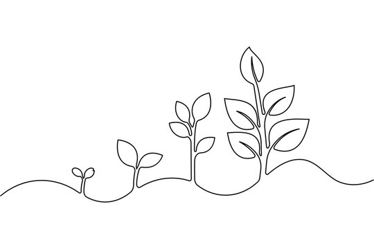 Simple growth plant one line art and vector illustration 
