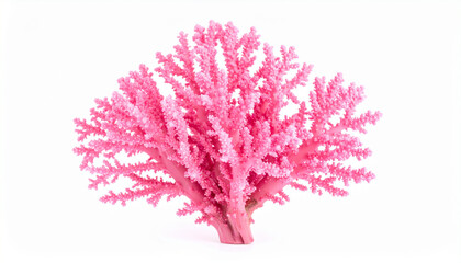 Firefly pink coral isolated on white background with detailed branches and vibrant color, showing natural marine beauty and texture in bright setting
