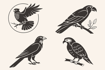 Obraz premium set of birds