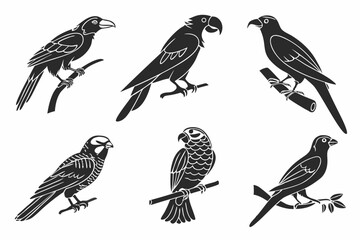 Obraz premium set of birds