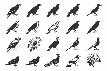 Naklejka premium set of birds