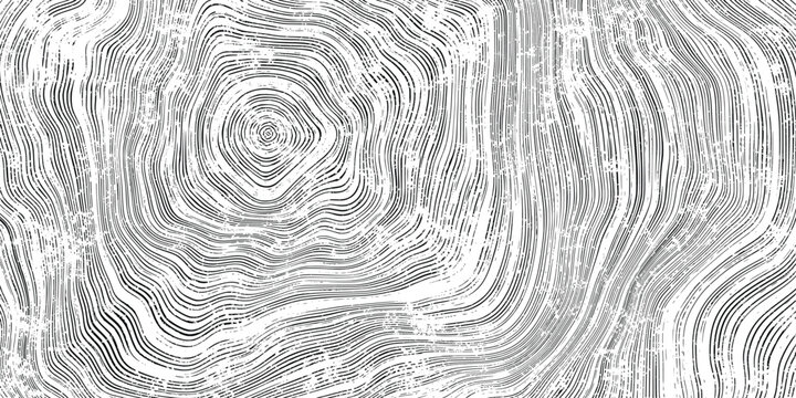 Log cut, wood texture, tree rings pattern, shades of gray, rough vector background
