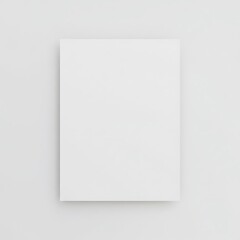 Fototapeta premium Blank Canvas.