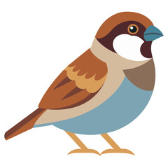 Fototapeta premium House Sparrow Bird Vector Clipart