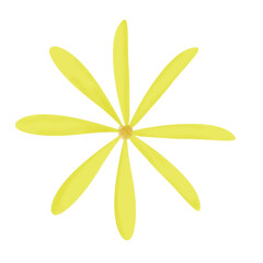 yellow flower with 8 petals 