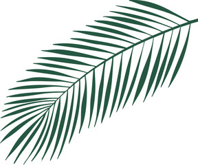 Obraz premium 야자수