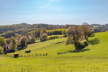 Frühlingslandschaft