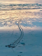 view of the beach at sunset