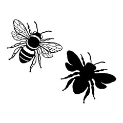 bee