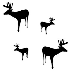 Reindeer silhouette, Double Reindeer set box icon, Reindeer illustration, silhouette, set icon, silhouette, Reindeer icon