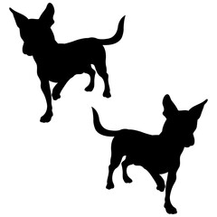 Chiweenie silhouette, Double Chiweenie set box icon, Chiweenie dogs illustration, silhouette, set icon, silhouette, Chiweenie icon