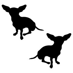 Chiweenie silhouette, Double Chiweenie set box icon, Chiweenie dogs illustration, silhouette, set icon, silhouette, Chiweenie icon