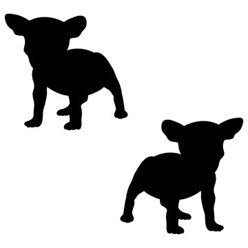 Chiweenie silhouette, Double Chiweenie set box icon, Chiweenie dogs illustration, silhouette, set icon, silhouette, Chiweenie icon