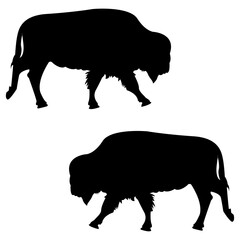 Bison silhouette, Double Bison set box icon, Bison illustration, silhouette, set icon, silhouette, Bison icon