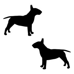 Bulldog silhouette, Double Bulldog set box icon, Bulldog illustration, silhouette, set icon, silhouette, Bulldog icon