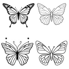 Obraz premium Vector infographic of butterfly transformation, bright, simple clipart.