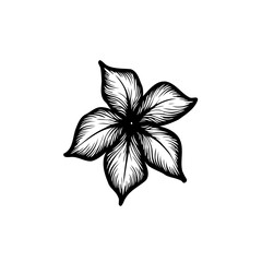 Elegant Black and White Flower Illustration with Delicate Petals and Fine Details