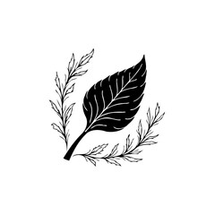 Elegant botanical design featuring a detailed leaf and delicate branches illustration