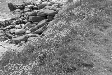 Isle of Portland an der Jurassic coast