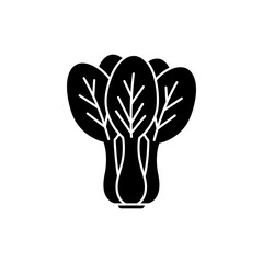 Fresh Bok Choy Bulb with Green Leaves Isolated on White