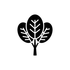 Fresh collard greens leaf spread isolated on white