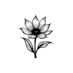Elegant botanical illustration of a stylized flower with intricate line work and shading