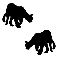 Chicken silhouette, Double Chicken set box icon, Chicken illustration, silhouette, set icon, silhouette, Chicken icon