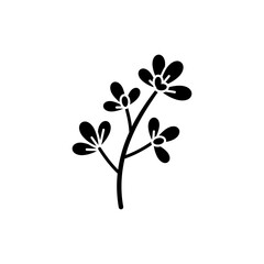 Fresh purslane stem and green leaves isolated on white background close up