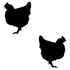 Chicken silhouette, Double Chicken set box icon, Chicken illustration, silhouette, set icon, silhouette, Chicken icon