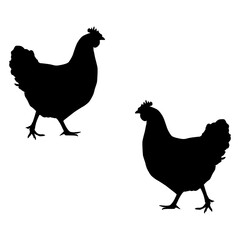 Chicken silhouette, Double Chicken set box icon, Chicken illustration, silhouette, set icon, silhouette, Chicken icon