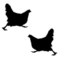 Chicken silhouette, Double Chicken set box icon, Chicken illustration, silhouette, set icon, silhouette, Chicken icon