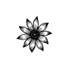 Elegant floral illustration of a blossom with detailed petals in black and white
