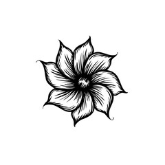 Elegant black and white flower drawing showcasing intricate petal detailing and artistic design