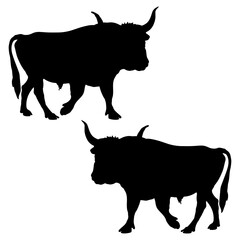 Bull silhouette, Double Bull set box icon, Bull buffalo illustration, silhouette, buffalo set icon, silhouette, buffalo icon