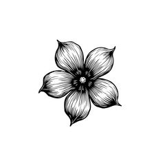 Elegant Hand-Drawn Floral Illustration with Delicate Petals and Intricate Details