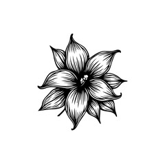 Elegant floral illustration with detailed line work and organic shape design