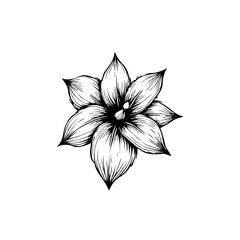 Elegant monochrome flower illustration, detailed linework botanical drawing isolated