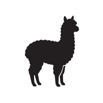 Standing alpaca icon silhouette vector