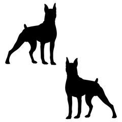 Boxing silhouette, Double Boxing set box icon, Boxing illustration, silhouette, set icon, silhouette, Boxer dogs icon