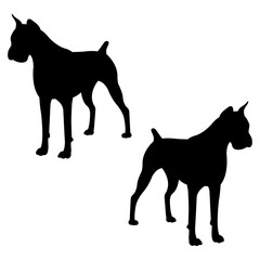 Boxing silhouette, Double Boxing set box icon, Boxing illustration, silhouette, set icon, silhouette, Boxer dogs icon