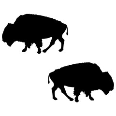 Bull silhouette, Double Bull set box icon, Bull buffalo illustration, silhouette, buffalo set icon, silhouette, buffalo icon