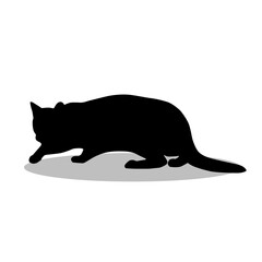 Cat silhouette, Double Cat set box icon, Cat illustration, silhouette, set icon, silhouette, Cat icon