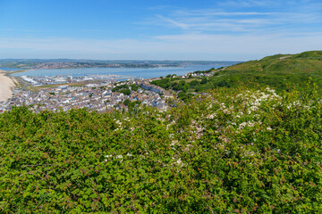 Fr&uuml;hling auf der Isle of Portland in England