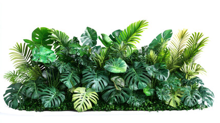 Lush greenery featuring various tropical plant isolated on transparent or white background.