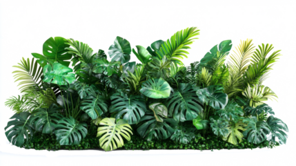 Lush greenery featuring various tropical plant isolated on transparent or white background.